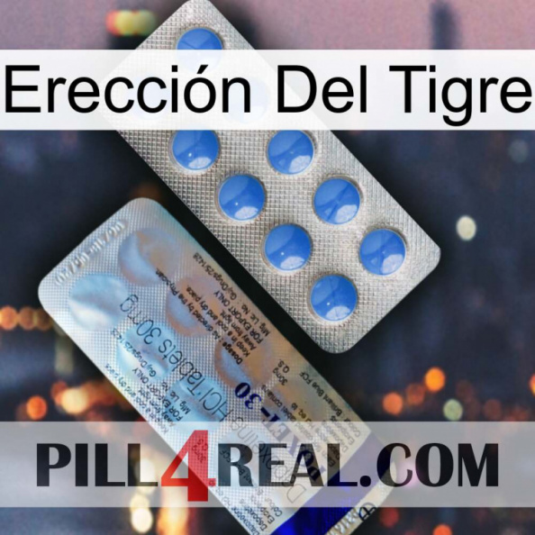 Erección Del Tigre 39.jpg